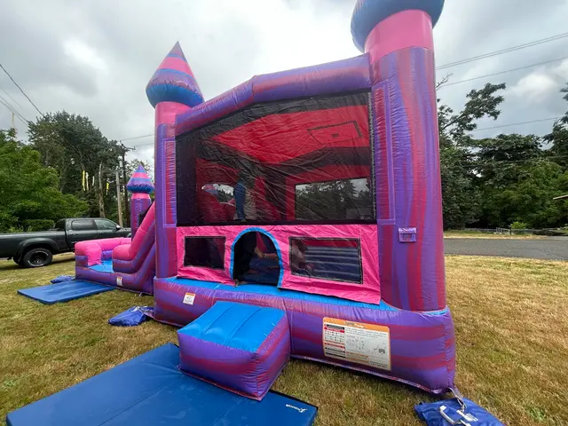 Customer photo of work by Delivering Fun Party Rentals, from Olivia McGrath's review