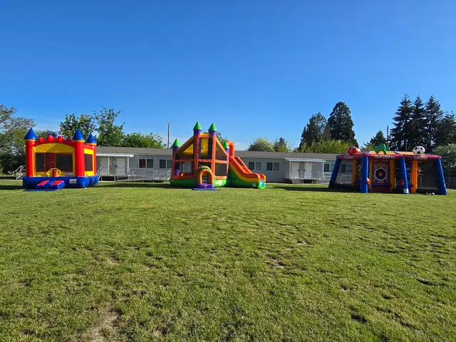 Delivering Fun Party Rentals — photo from the business 1
