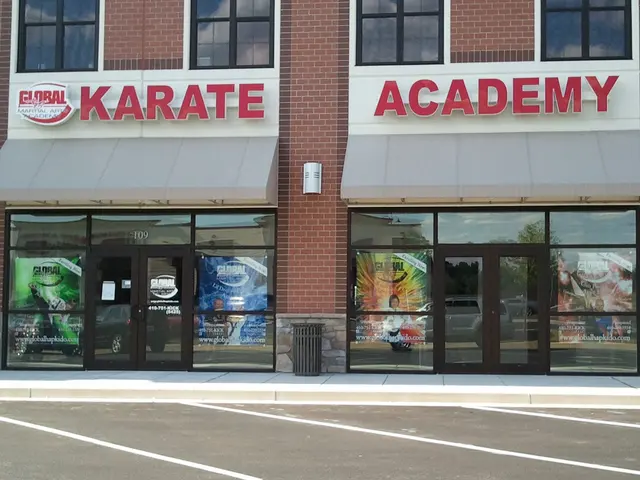 Global Martial Arts & Fitness ️️ — photo from the business 2