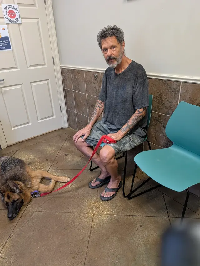 Customer photo of work by Village Veterinary Center, from Road Comics Adventures's review