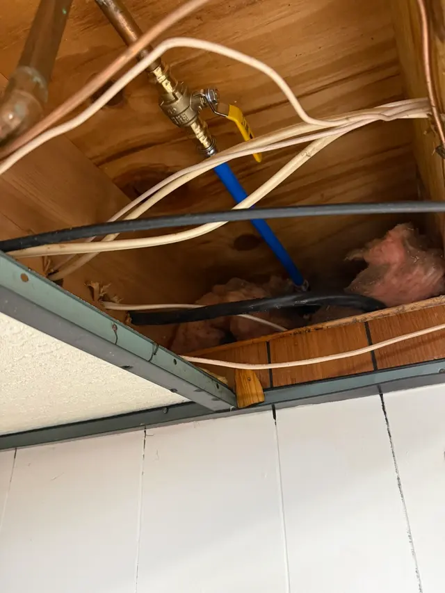 Customer photo of work by JD'S Plumbing LLC, from Greg Palya's review