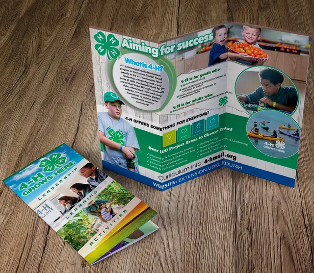 Splash Designworks — photo from the business 1