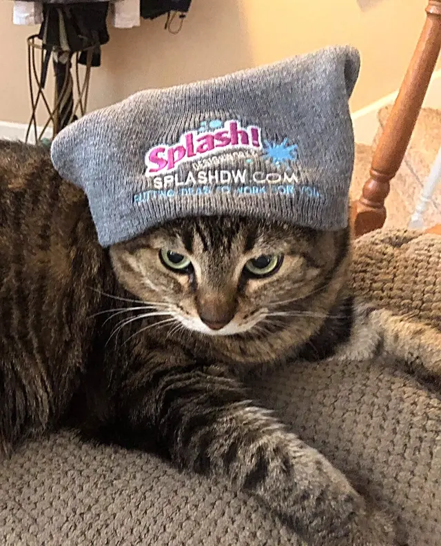 Splash Designworks — photo from the business 6