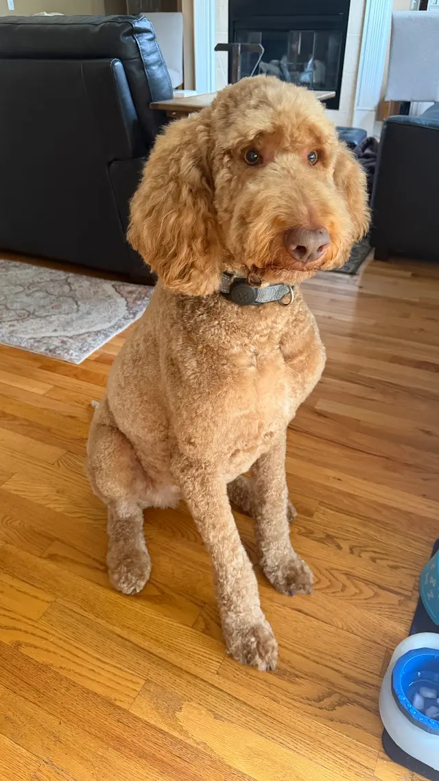 Customer photo from Abby's review