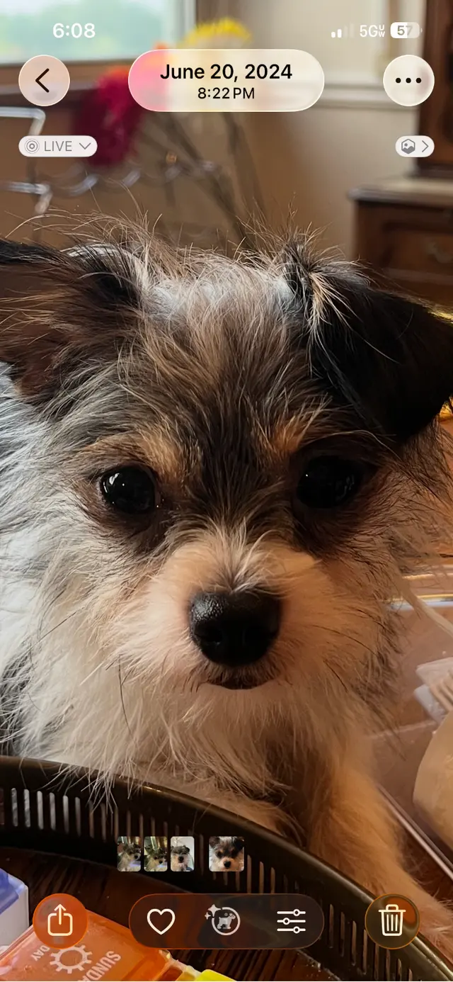 Customer photo from Evie's review