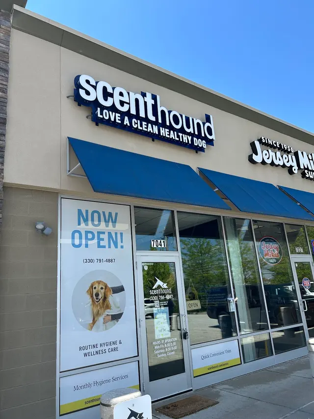 Scenthound Aurora — customer photo 2