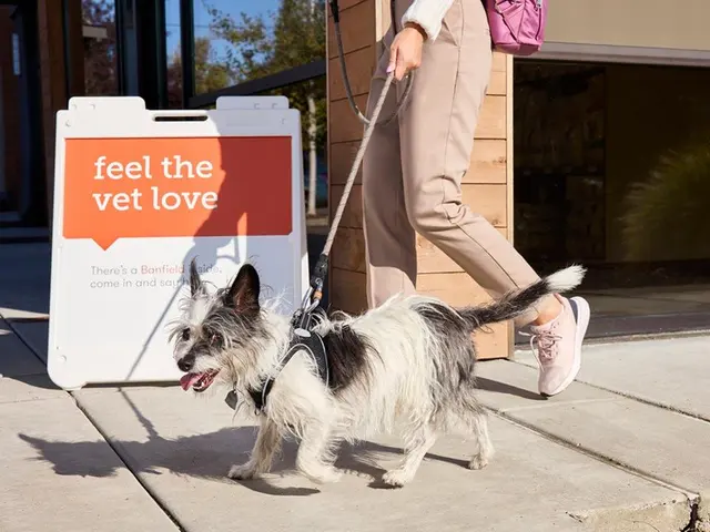 Banfield Pet Hospital — photo from the business 10
