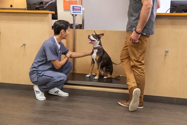 Banfield Pet Hospital — photo from the business 5