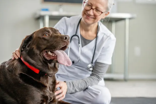 Banfield Pet Hospital — photo from the business 12