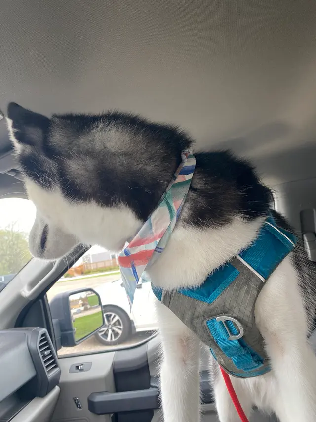 Customer photo from aaron's review