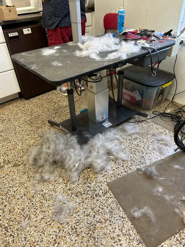 Customer photo from aaron's review