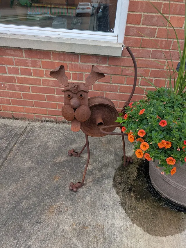 4-Paws Na Tail — customer photo 5