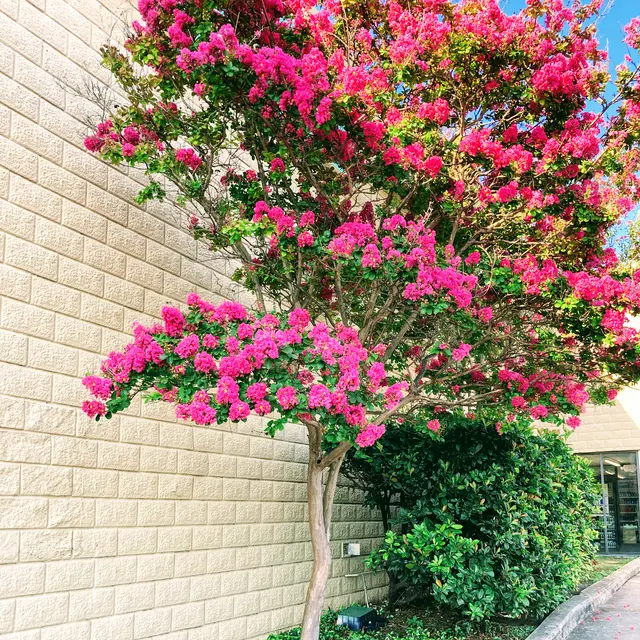 Texas Terrain Lawn Care — photo from the business 8