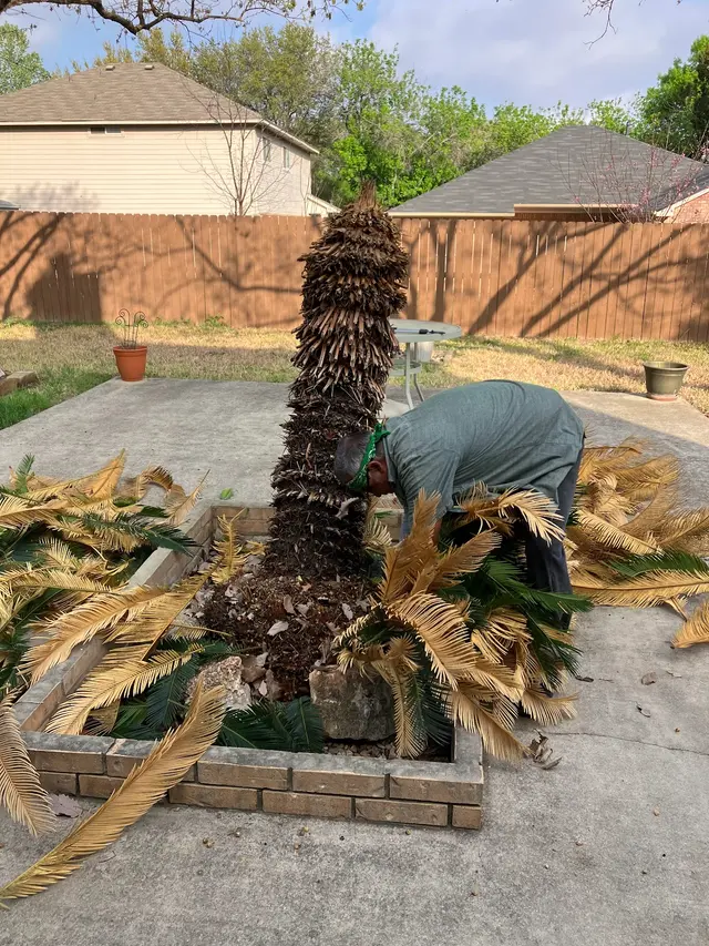 Texas Terrain Lawn Care — photo from the business 9