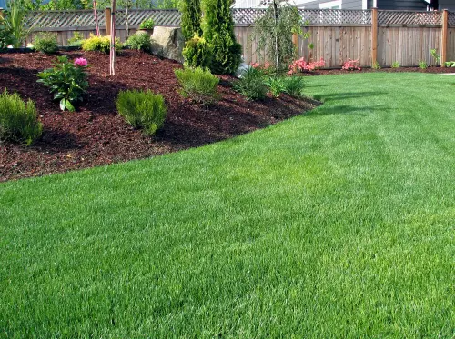Texas Terrain Lawn Care — photo from the business 7