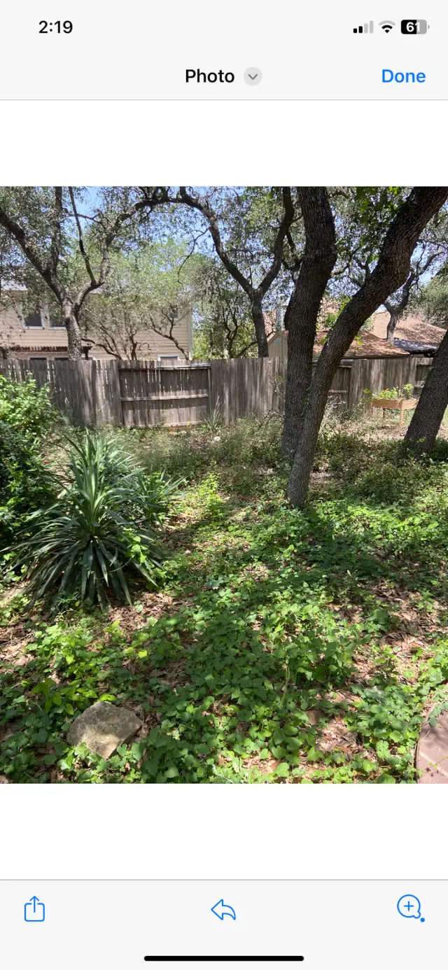 Customer photo of work by Texas Terrain Lawn Care, from L. V.'s review