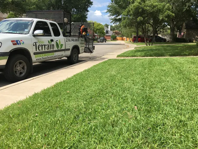 Texas Terrain Lawn Care — photo from the business 1