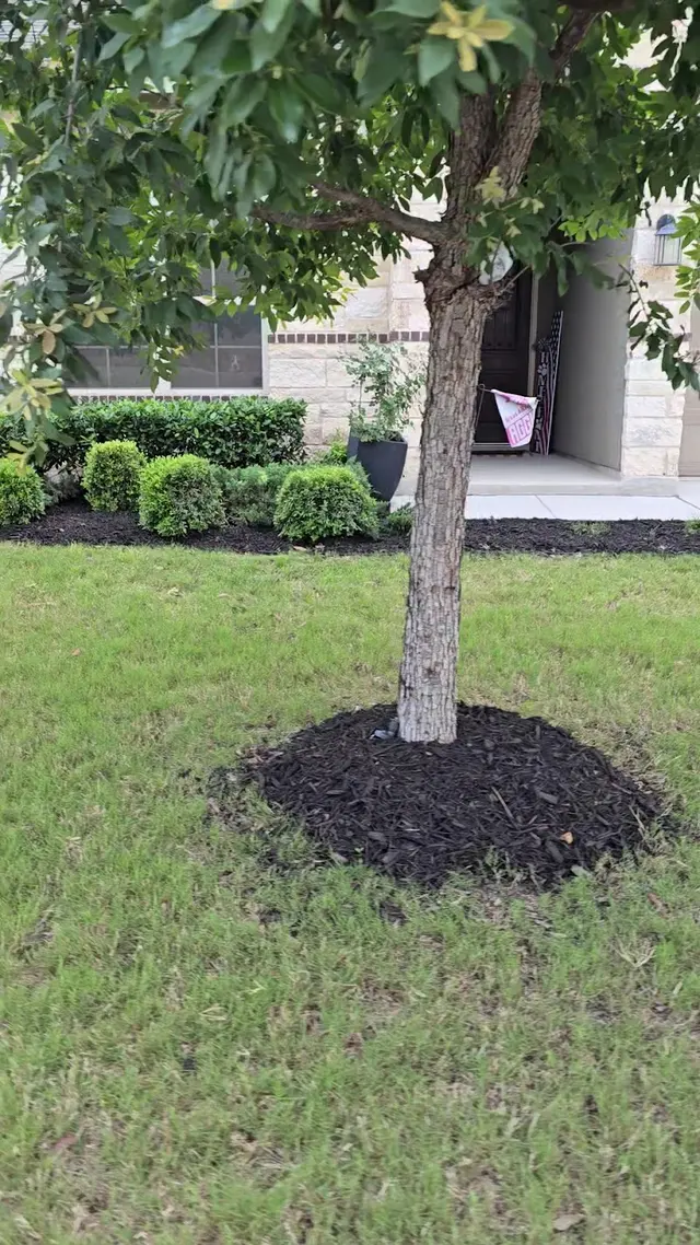 Customer photo from Marie's review