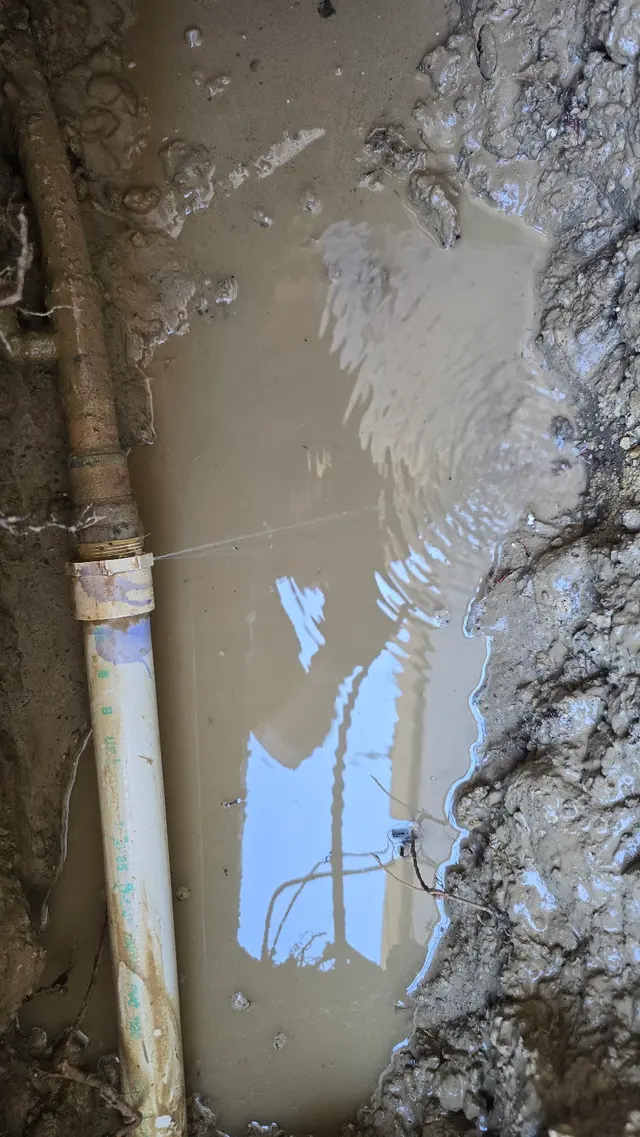 Customer photo of work by Mother Modern Plumbing, Sewer & Drain, from Kerry FitzGerald's review