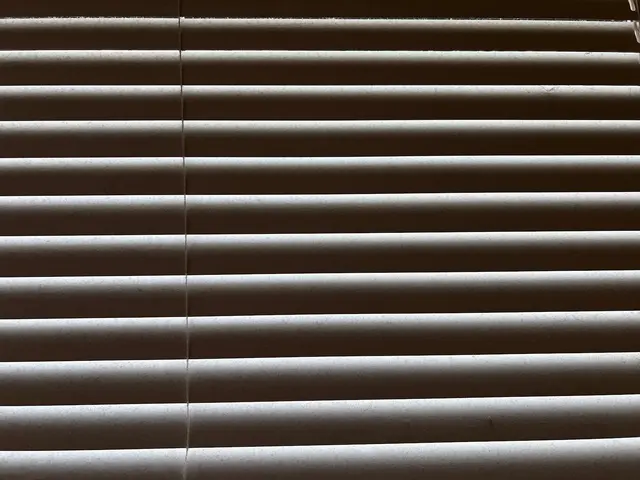 The Cleaning Nanny, LLC — customer photo 11