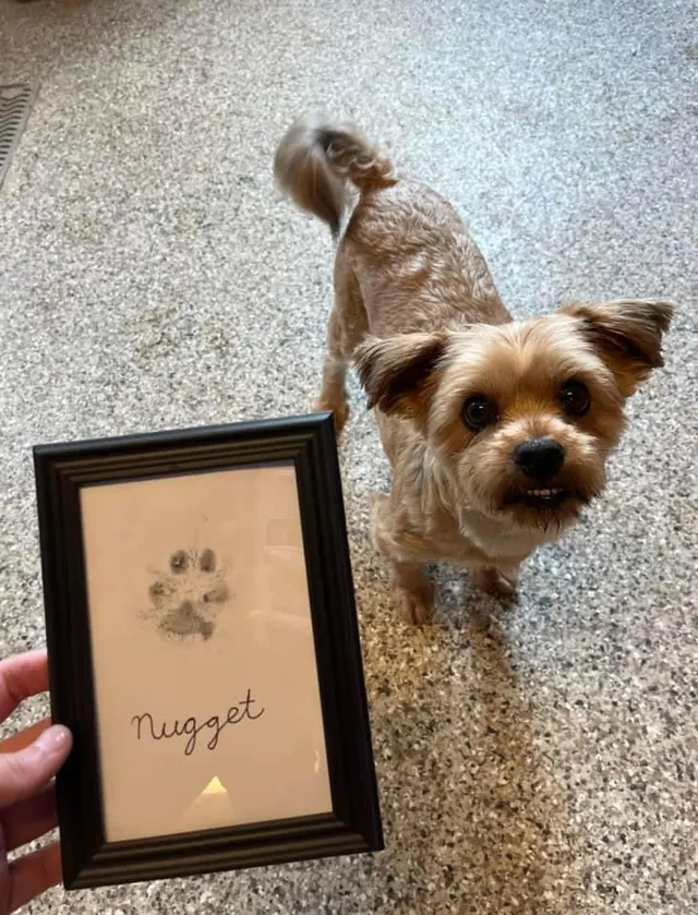 Walk’N Rohl Pet Hotel — customer photo 1