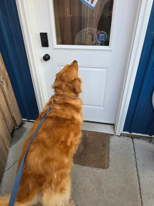 Customer photo from Christine's review