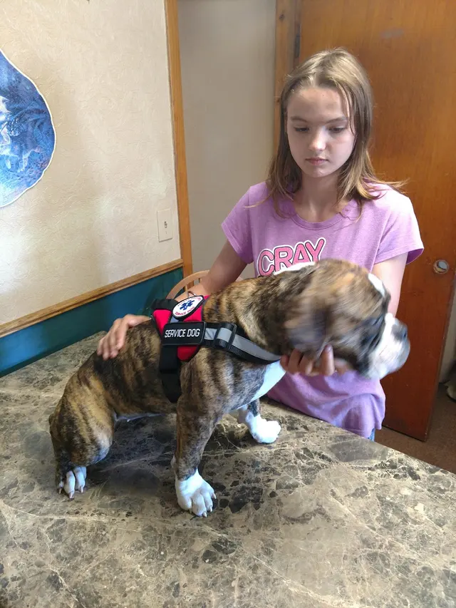 Volga Veterinary Clinic — customer photo 1