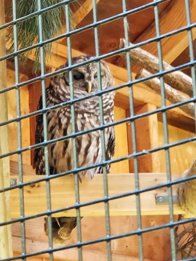 Bailey Arboretum County Park — customer photo 9