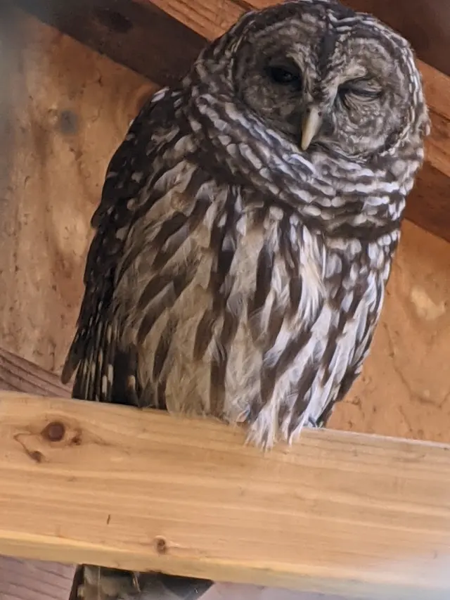 Bailey Arboretum County Park — customer photo 4