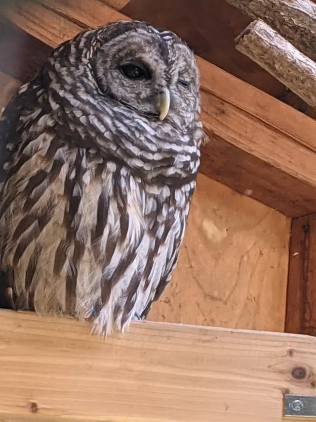 Bailey Arboretum County Park — customer photo 5