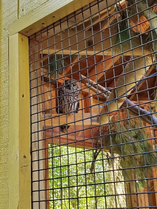 Bailey Arboretum County Park — customer photo 11