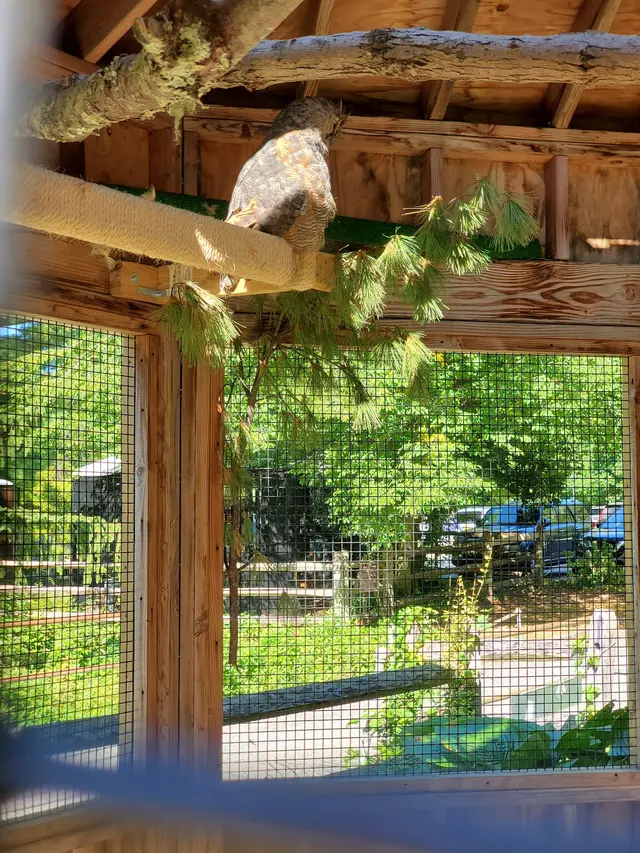 Bailey Arboretum County Park — customer photo 6