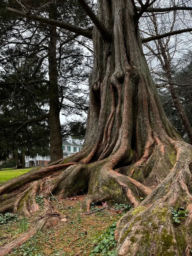 Bailey Arboretum County Park — customer photo 1