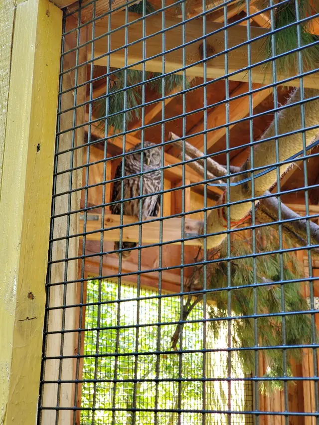 Bailey Arboretum County Park — customer photo 10