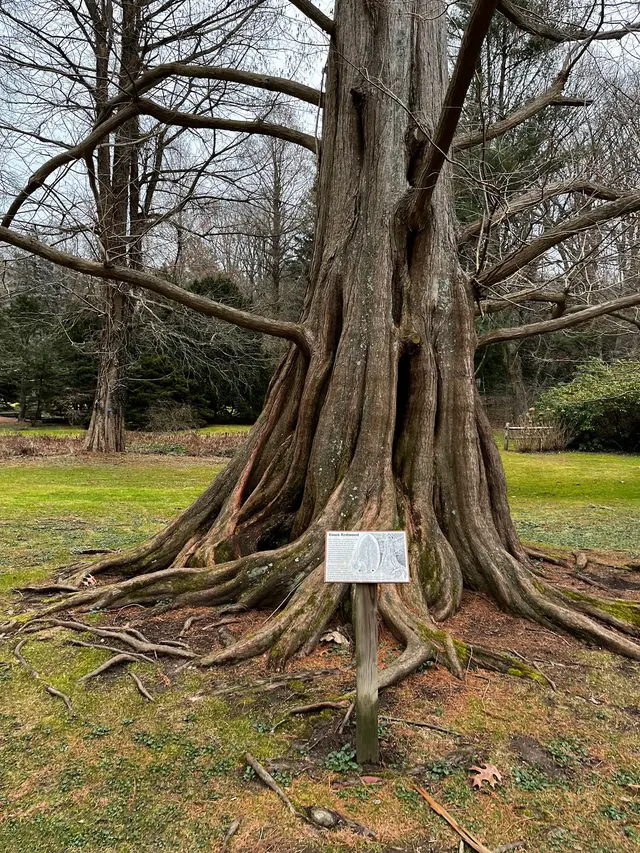 Bailey Arboretum County Park — customer photo 3