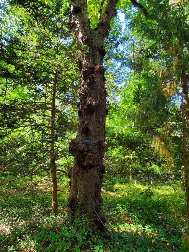 Bailey Arboretum County Park — customer photo 12