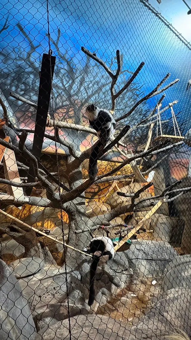 Prospect Park Zoo — customer photo 2