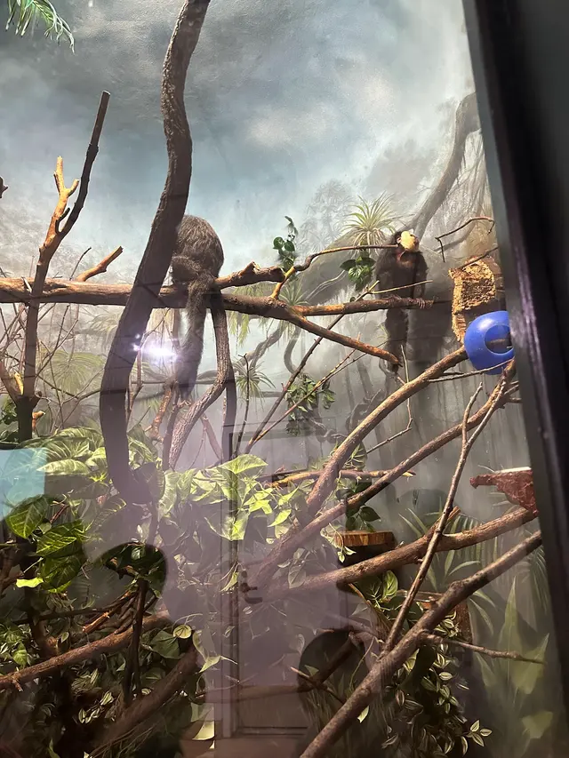 Customer photo of work by Prospect Park Zoo, from Natali Palaquachi's review