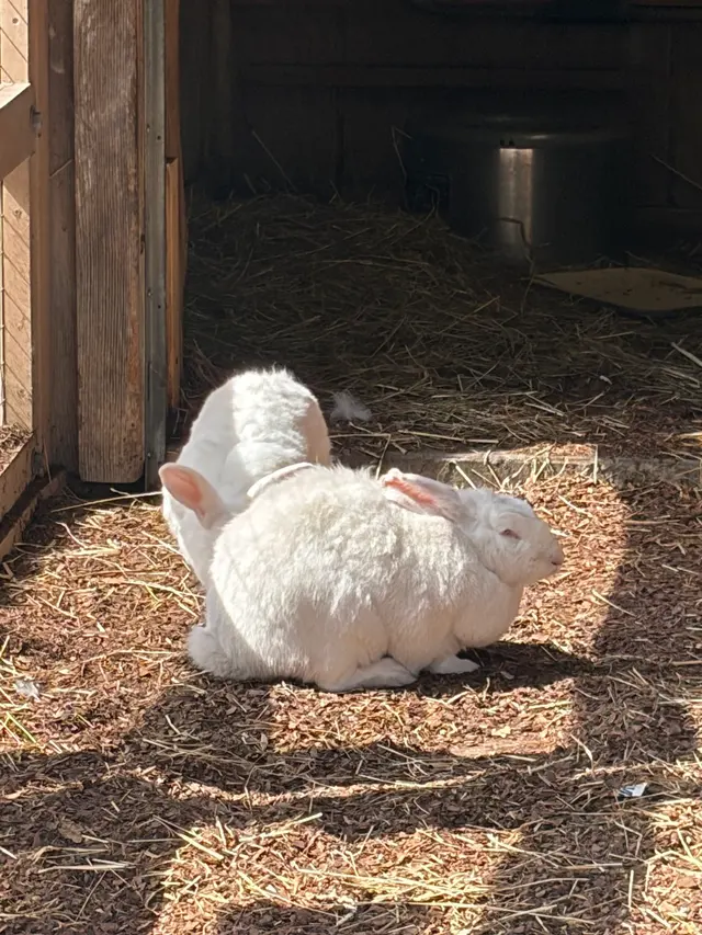 Prospect Park Zoo — customer photo 7