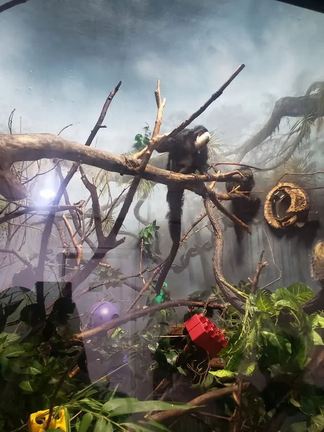 Prospect Park Zoo — customer photo 11