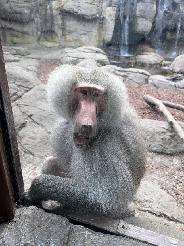 Prospect Park Zoo — customer photo 5