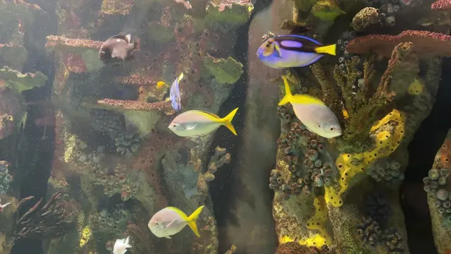 Prospect Park Zoo — customer photo 1
