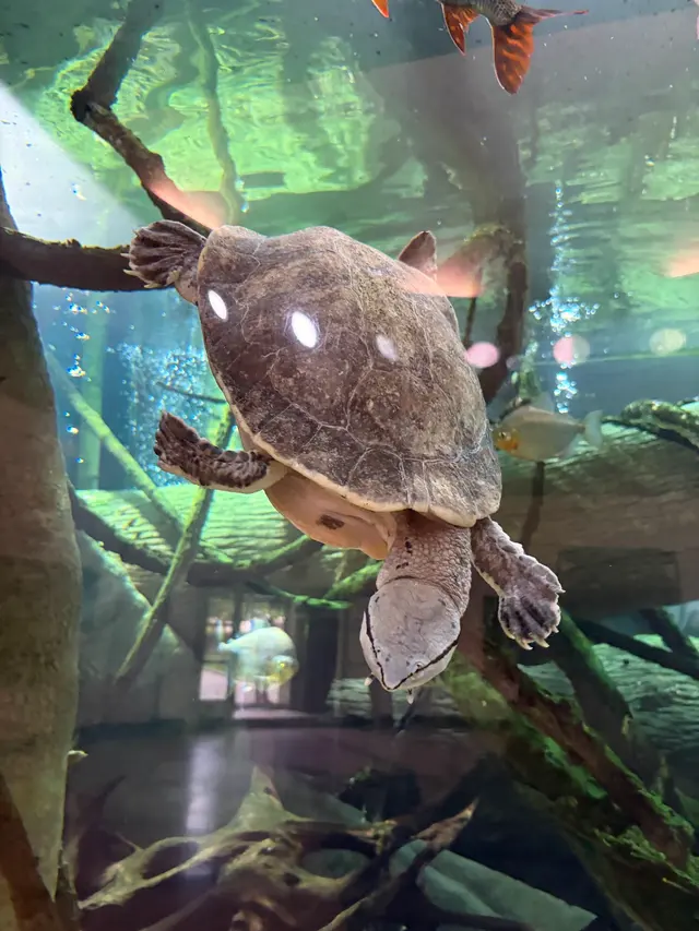 Prospect Park Zoo — customer photo 4