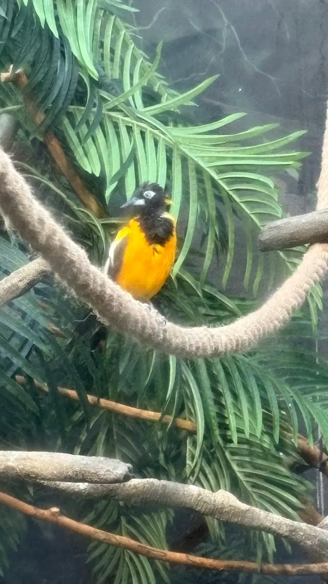 Prospect Park Zoo — customer photo 3