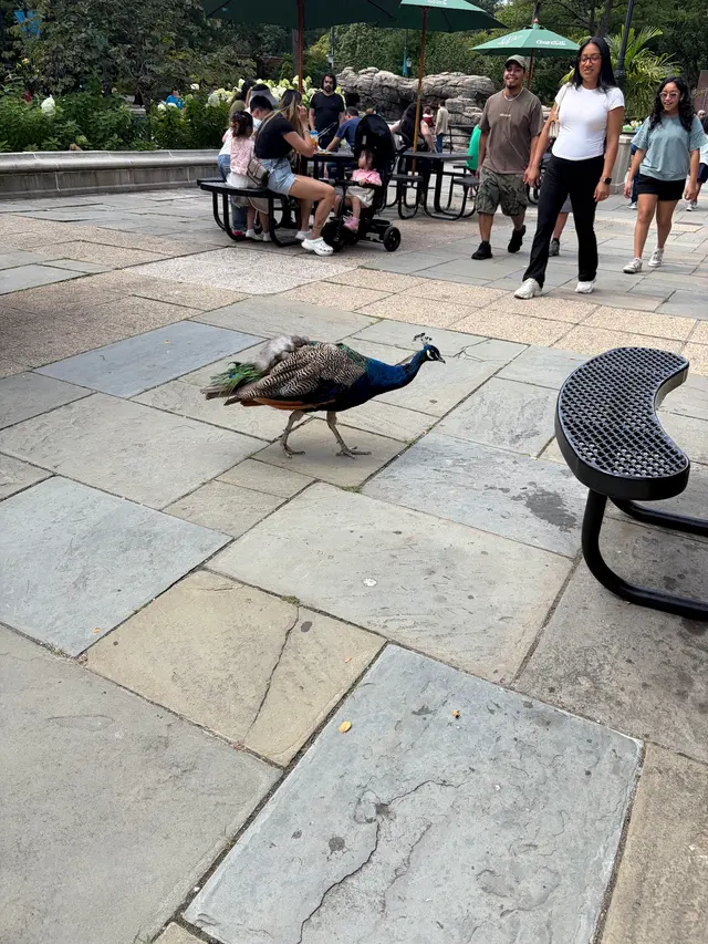 Prospect Park Zoo — customer photo 6