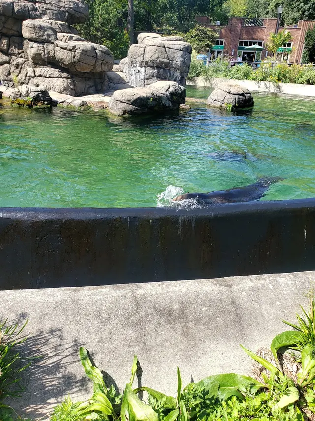 Prospect Park Zoo — customer photo 12