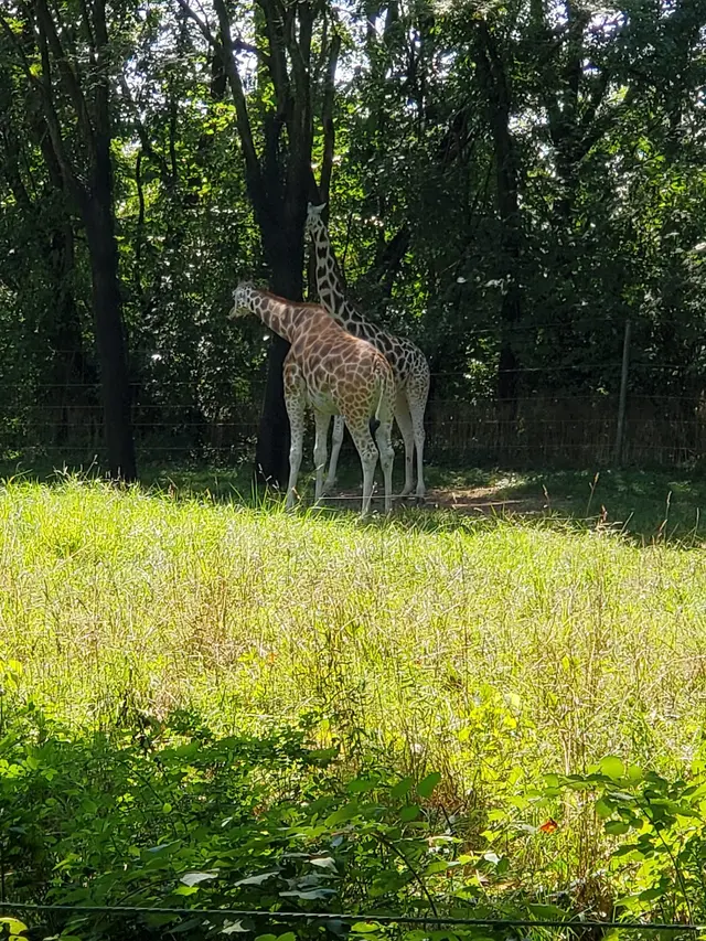 Bronx Zoo — customer photo 5