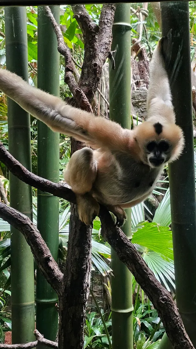 Bronx Zoo — customer photo 8