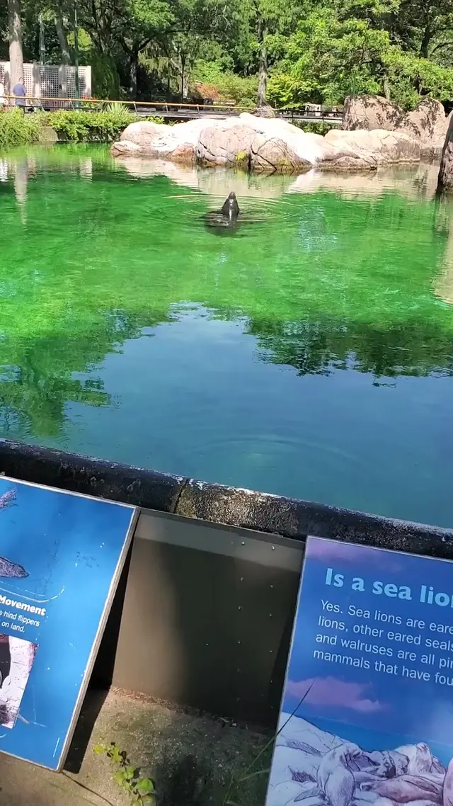 Bronx Zoo — customer photo 6