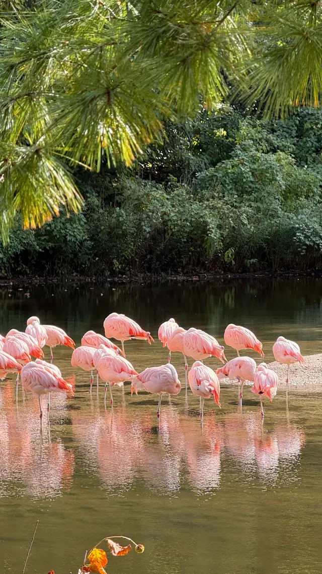 Bronx Zoo — customer photo 12